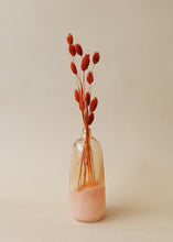 Load image into Gallery viewer, Terracotta Dried Phalaris Grass
