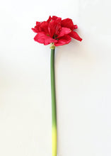 Load image into Gallery viewer, Red Fake Amaryllis Holiday Flowers
