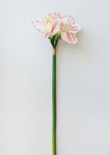 Load image into Gallery viewer, White and Red Fake Amaryllis Christmas Flowers
