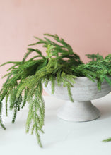 Load image into Gallery viewer, SALE - Real Touch Norfolk Pine Branch - 36" Tall
