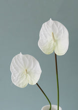 Load image into Gallery viewer, Cream White Large Anthurium Artificial Flower - 27"
