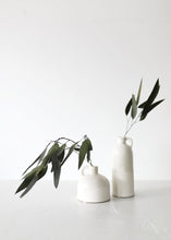 Load image into Gallery viewer, Preserved Weeping Willow Eucalyptus
