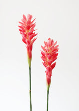 Load image into Gallery viewer, Pink Fake Hawaiian Ginger Flower - 30"
