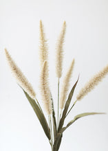 Load image into Gallery viewer, Fake Foxtail Fall Grass in Beige - 36"
