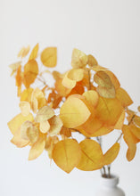 Load image into Gallery viewer, Fall Mustard Artificial Smoke Tree Leaves - 28"
