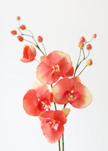 Load image into Gallery viewer, Orange Artificial Phalaenopsis Orchid Flower - 29"
