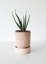 Load image into Gallery viewer, Antique Pink Terracotta Pot with Glazed Saucer - 6.5&quot; Tall x 5.5&quot; Wide with Drainage
