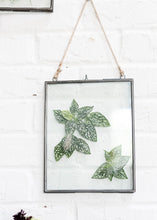 Load image into Gallery viewer, Hanging Pressed Glass Floating Frame - 10.5" Tall x 8" Wide
