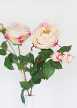 Load image into Gallery viewer, Pink Fuchsia Real Touch English Cabbage Rose - 22.5" Tall
