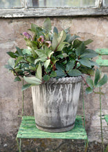 Load image into Gallery viewer, Clay Planter and Saucer in Grey - 8.25" Tall x 9" Wide with Drainage
