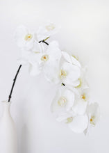 Load image into Gallery viewer, White Real Touch Fake Orchids - 44"
