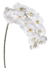 Load image into Gallery viewer, White Real Touch Fake Orchids - 44"

