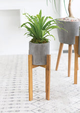 Load image into Gallery viewer, Wood and Concrete Plant Stand - 21.75" Tall
