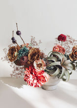 Load image into Gallery viewer, Preserved Stardust Gypsophila in Mauve Brown
