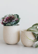 Load image into Gallery viewer, Set of 2 - Blush Terrazzo Flower Pots
