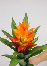 Load image into Gallery viewer, Artificial Indoor/Outdoor Bromeliad Plant in Orange Flame - 21"
