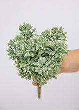 Load image into Gallery viewer, Plastic Succulent Bush in Soft Green - 6" Wide
