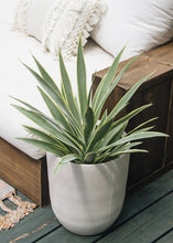 Load image into Gallery viewer, Artificial Variegated Yucca Fake Outdoor Plant - 28&quot;
