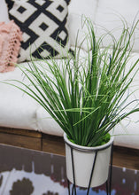 Load image into Gallery viewer, Plastic Herb Grass Plant - 18" Tall
