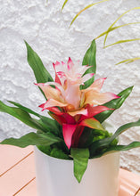 Load image into Gallery viewer, Artificial Indoor/Outdoor Bromeliad Plant in Pink - 21"
