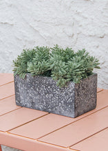Load image into Gallery viewer, Plastic Succulent Bush in Soft Green - 6" Wide
