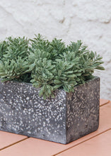 Load image into Gallery viewer, Plastic Succulent Bush in Soft Green - 6" Wide
