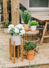 Load image into Gallery viewer, Wood and Concrete Plant Stand - 21.75" Tall
