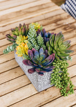 Load image into Gallery viewer, Soft Latex Burro's Tail Sedum Succulent  - 7.5" Tall
