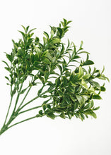 Load image into Gallery viewer, Artificial Indoor/Outdoor Boxwood Pick - 18.5" Tall
