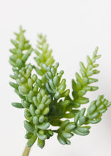 Load image into Gallery viewer, Soft Latex Burro's Tail Sedum Succulent  - 7.5" Tall
