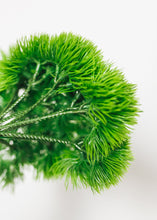 Load image into Gallery viewer, Mini Plastic Moss Grass Pick - 5.5" Tall
