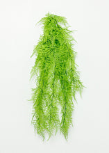 Load image into Gallery viewer, Artificial Indoor/Outdoor Hanging Asparagus Fern - 33" Long
