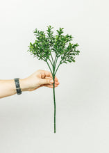 Load image into Gallery viewer, Artificial Indoor/Outdoor Boxwood Pick - 18.5" Tall
