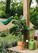 Load image into Gallery viewer, Fake Fiddle Fig Leaf Tree Potted Floor Plant - 3' Tall
