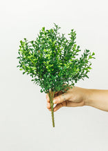 Load image into Gallery viewer, Fake Indoor/Outdoor Plastic Boxwood Plant - 12"
