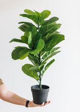 Load image into Gallery viewer, Fake Fiddle Leaf Fig Tree Floor Plant in Pot - 31.5" Tall
