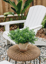 Load image into Gallery viewer, Fake Indoor/Outdoor Plastic Boxwood Plant - 12"
