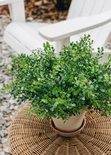 Load image into Gallery viewer, Fake Indoor/Outdoor Plastic Boxwood Plant - 12"
