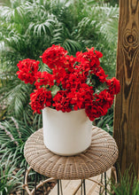 Load image into Gallery viewer, UV Protected Indoor/Outdoor Fake Geranium Bush - 24"
