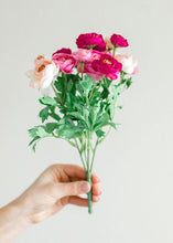 Load image into Gallery viewer, Mini Silk Ranunculus Bush in Pink Cerise - 10"
