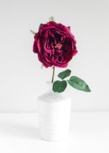 Load image into Gallery viewer, Silk English Rose Stem in Burgundy Wine - 22" Tall
