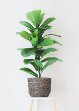 Load image into Gallery viewer, Fake Fiddle Leaf Fig Tree Floor Plant in Pot - 31.5" Tall
