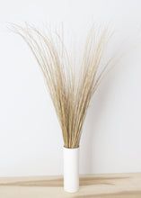 Load image into Gallery viewer, Tall Preserved Bright Grass
