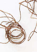 Load image into Gallery viewer, Bark Covered Wire - 70' Long
