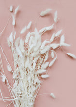 Load image into Gallery viewer, Dried White Bunny Tail
