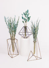 Load image into Gallery viewer, Bouquet of Dried Grasses in Blue - 18" Tall
