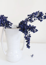 Load image into Gallery viewer, Preserved Pepperberry Bunch in Indigo
