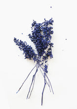 Load image into Gallery viewer, Preserved Pepperberry Bunch in Indigo
