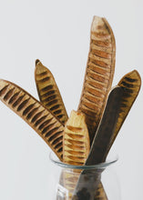 Load image into Gallery viewer, Pack of 10 -  Brown Dried Gulmohar Fruit Pods 21"
