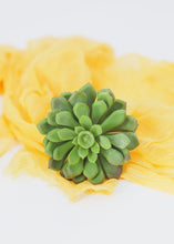 Load image into Gallery viewer, Soft Plastic Aeonium Succulent Pick - 3.5" Wide

